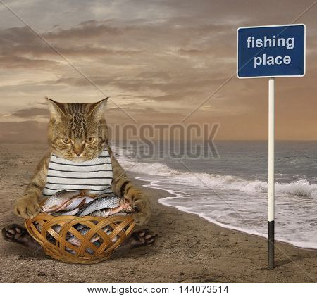 A cat fisher sits beside a basket full of fish on the beach.