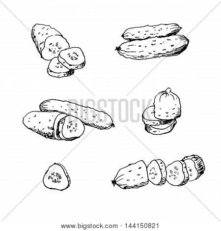 Hand drawn vector illustration of cucumbers. Isolated cucumber and sliced pieces. Vegetable engraved style illustration. Vegetarian food drawing.