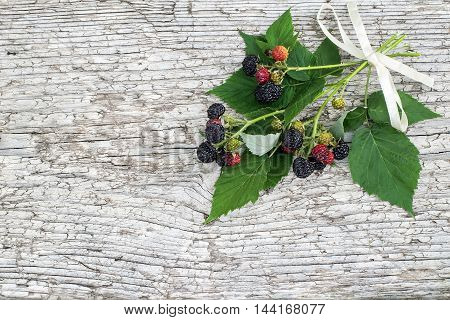 Bunch of black raspberries (Rubus occidentalis) and white ribbon on the old wooden background with space for text