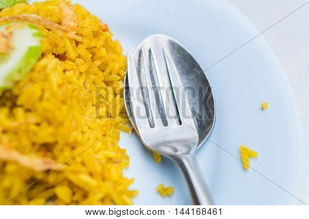 Chicken Biryani with Green Chutney.khao mok (