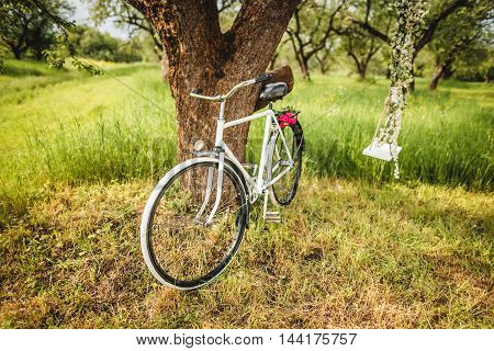 Vintage white bicycle waiting near tree and swing