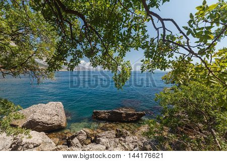 Secluded beach with turquoise sea water and tree