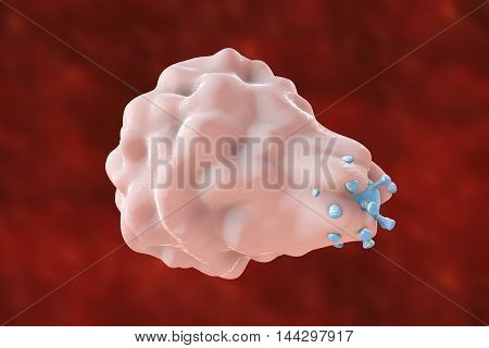 White blood cell engulfing a virus, 3D illustration