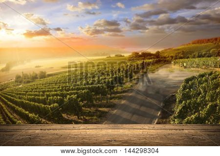 Red wine with barrel on vineyard in green Tuscany, Italy