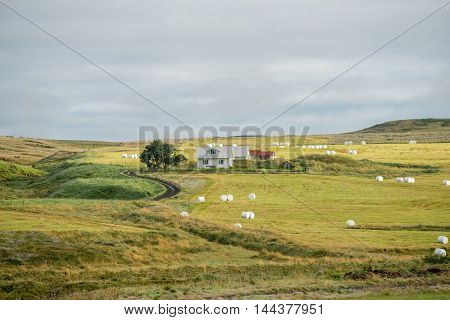 Hlidarendi - renown from the Icelandic saga of Njal describing events between 960 and 1020