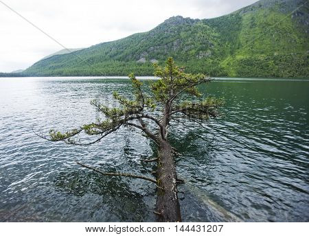 Multinskiye lake Altai mountains landscape. Russian nature