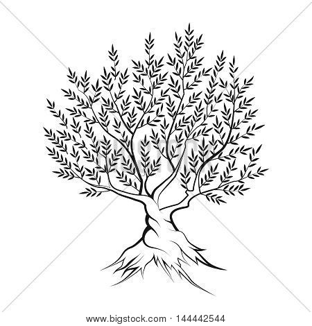Olive tree outline silhouette icon isolated on white background.