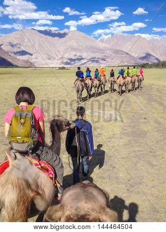 LEH LADAKH INDIA - July 9 2014 : Unidentified tourist ride carmels at Hunder village in Nubra Valley Ladakh Jammu and Kashmir India.