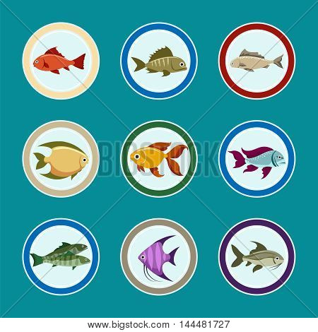 Fish on the plate vector icons. Sea food restaurant menu icons set