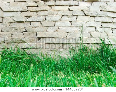 Background stone wall. Bottom juicy green grass. There is a place for your text.