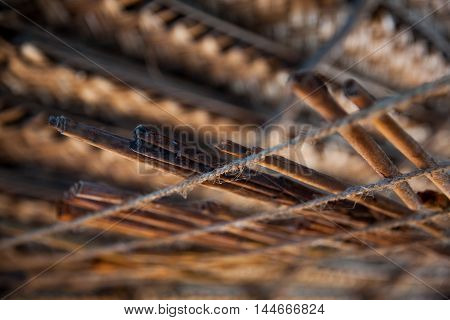 Sticks of cinnamon in workshop on river island at Madu Ganga - Sri Lanka
