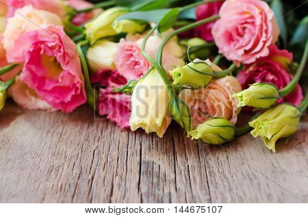 French roses on a wooden background. Wallpapers of flowers and wood