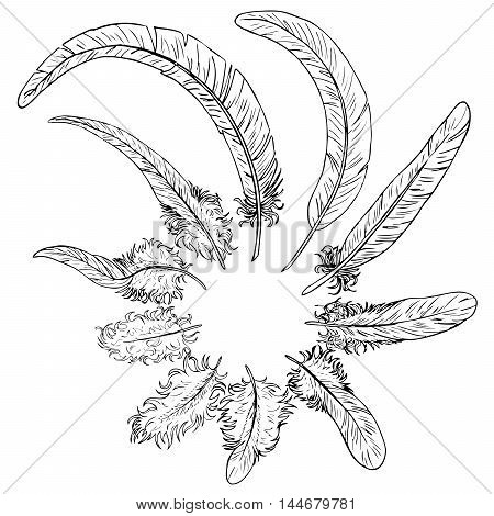 Set of ten black contour feathers of a rooster or birds on a white background.