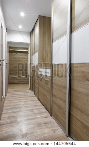 Wooden cabinet in room. Modern designed furniture