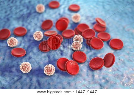 Blood cells: red blood cells erythrocytes and white blood cells leukocytes . 3D illustration
