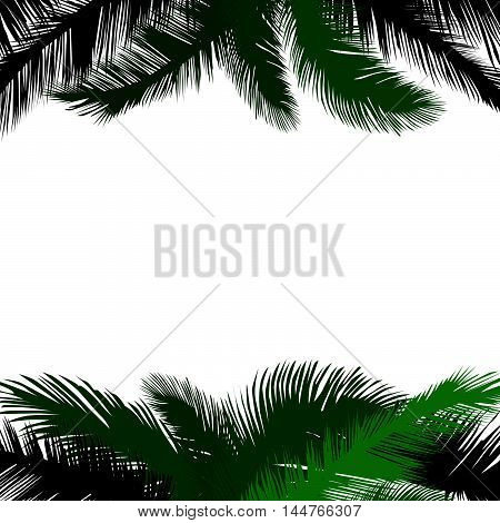 Floral background. Summer leaves flourish border. Plam leaf frame pattern