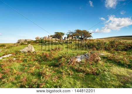 Combestone Tor