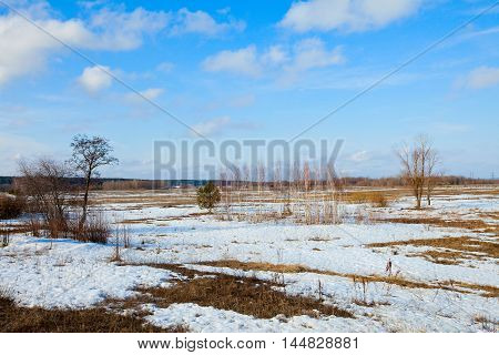 In The Early Spring