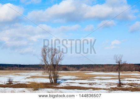 In The Early Spring