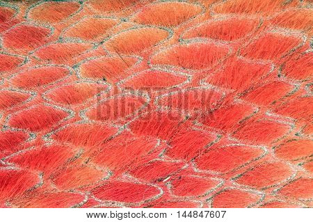 Leather Texture