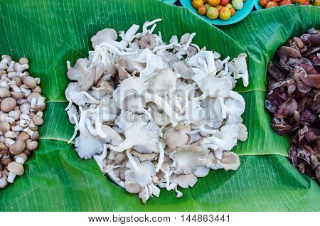 pile of sajor-caju mushroom in wicker basket for sale in local market in thailand