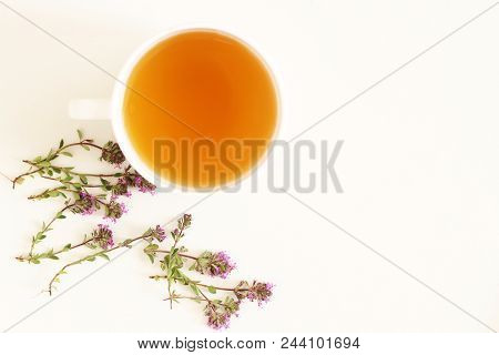 Thymus Pulegioides Tea And Leaves. Tea Is Effective During Diseases Of The Upper Respiratory Tract.m