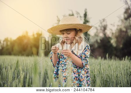 Happy Little Girl On Green Wheat Field