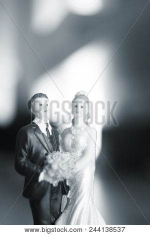 Wedding Couple Marriage Dolls