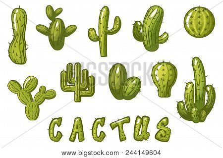Vector Big Set Cartoon Mexican Cactus, Funny Textured Text Cactus
