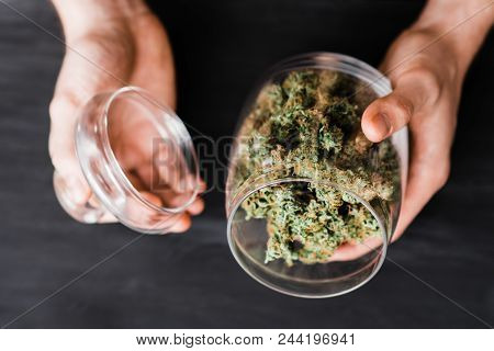 A Can With Buds Of Cannabis In The Hands Of A Man. The Concept Of Legal Marijuana Is Medical Weed. O