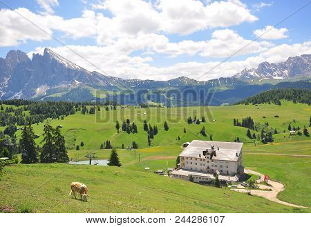 Wooden House In Italian Alps On Summer