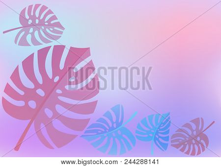 Colorful Summer Banners, Tropical Backgrounds With Palms, Leaves, Monstera, Clouds, Sky, Colors. Bea