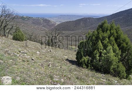 View From The Slope Of The Tokluk-syrt Ridge Towards The Sea. Crimea, Spring, Early April. Sunny Day