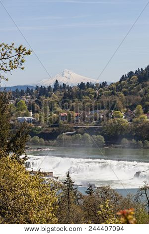Willamette Falls And Mt. Hood
