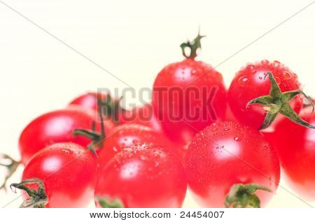 Pomodori Roma