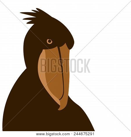 African Shoebill Bird Face Vector Illustration Flat Style