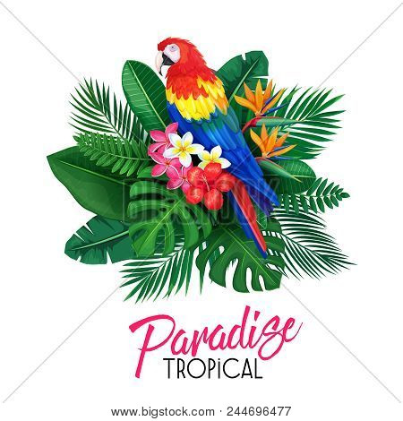 Vector Tropical Banner. Summer Design For Advertising Vacation With Parrot, Exotic Leaves And Flower