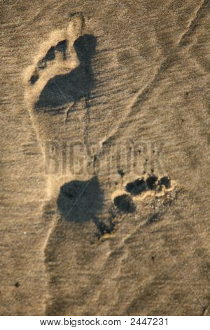 Stopy v písku