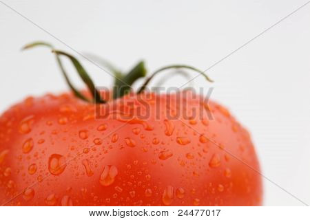 tomato on white background