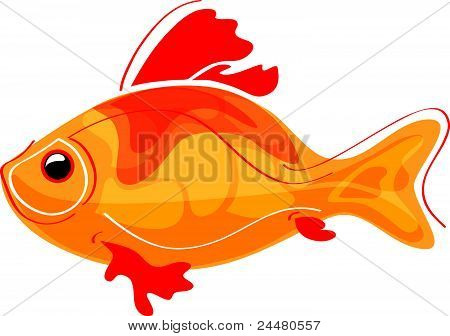 Gyldne fisk