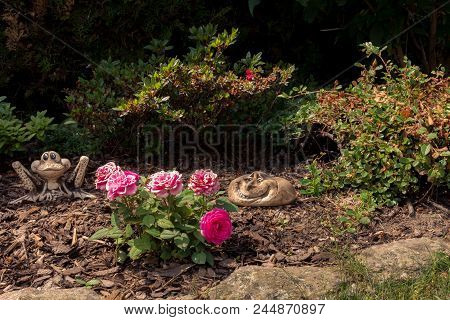 Modern Design Rose Garden With Ceramic Accessories.