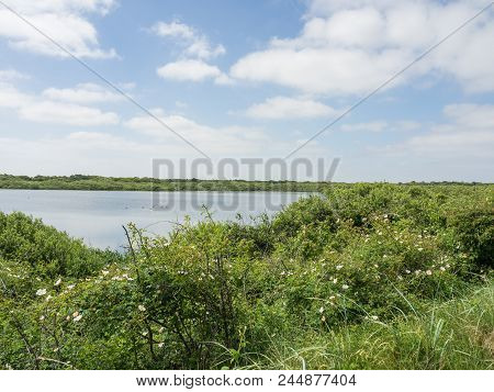 the Island of juist in the North sea