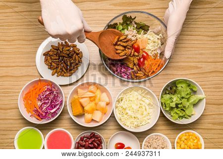 Fresh Vegetable Salad With Insects - Human Female Hands Cooking Vegetable Salad With Worm Insects In