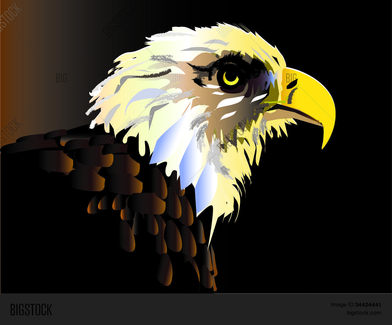 Image Preview