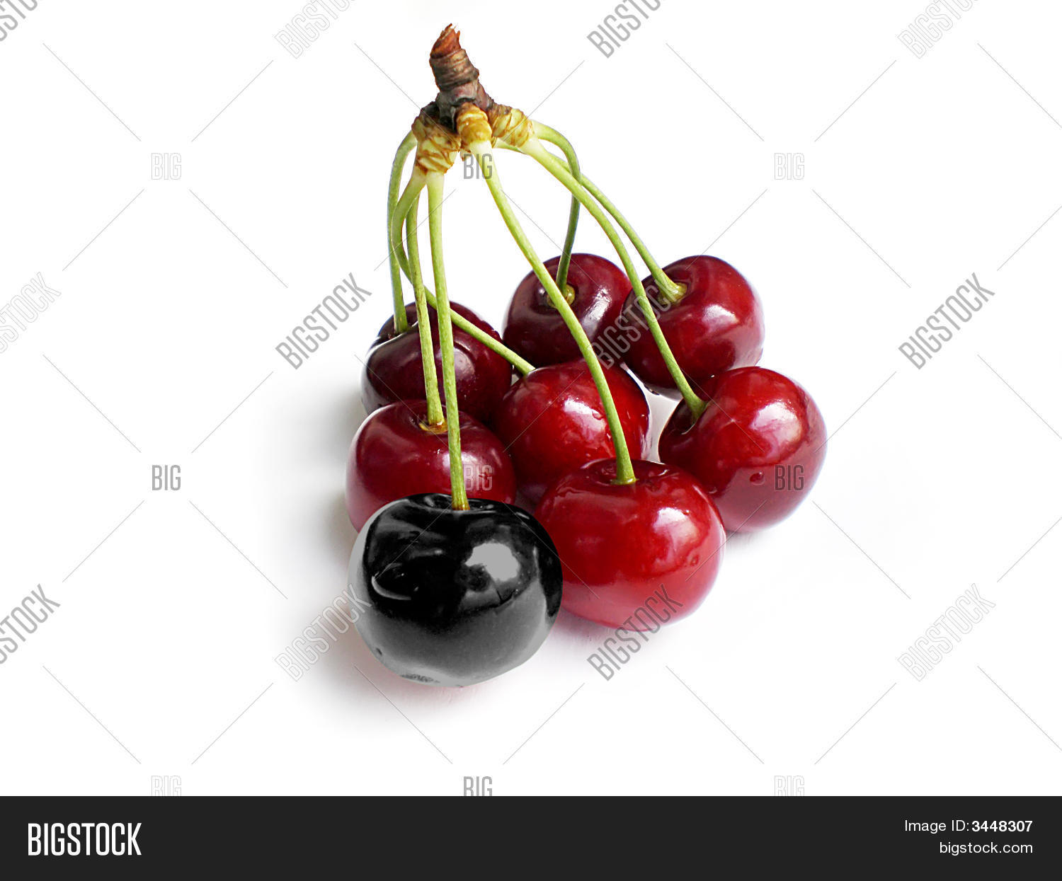 Image Preview