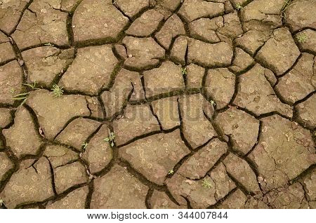Parched Earth Brown Color With Cracks On The Surface