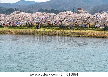 Kitakami, Iwate Prefecture, Japan - April 23 2019 : Tenshochi Park Along The Kitakami River In Sprin