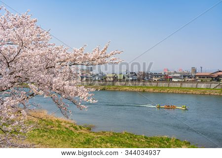 Kitakami, Iwate Prefecture, Japan - April 23 2019 : Sightseeing Boats On The Kitakami River. Tenshoc