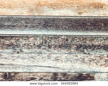 The Structure Of Piece Of Wood. Shot From Close View.