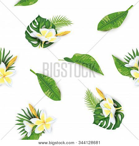 Jungle Leaves, Tropical Flower Frangipani Seamless Pattern. Vector Illustration.